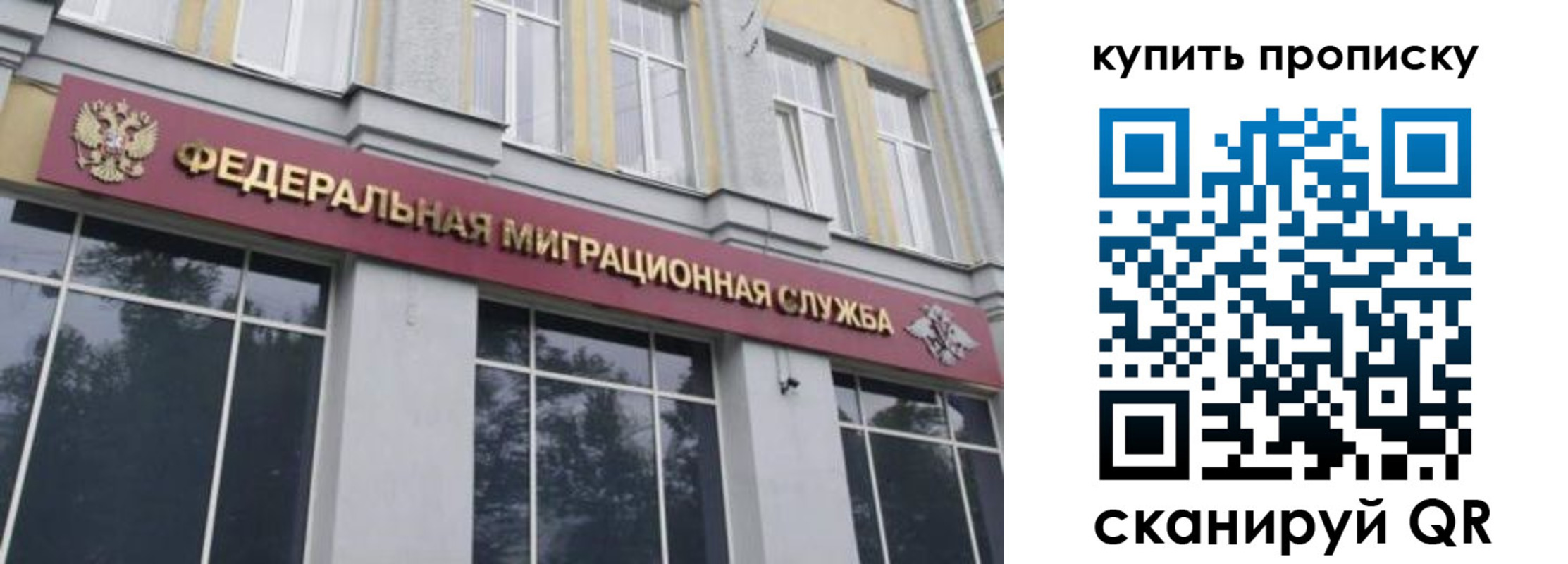 прописка поиск в Евпатории
